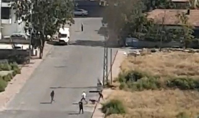 Dehşet anları kamerada: Köpek gence böyle saldırdı
