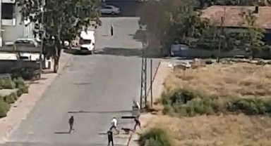 Dehşet anları kamerada: Köpek gence böyle saldırdı