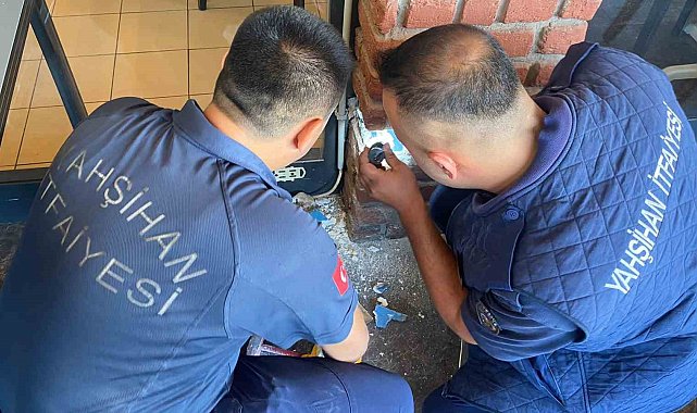 Dekoratif tuğla kolonun içinden yavru kedi çıktı