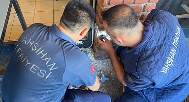 Dekoratif tuğla kolonun içinden yavru kedi çıktı