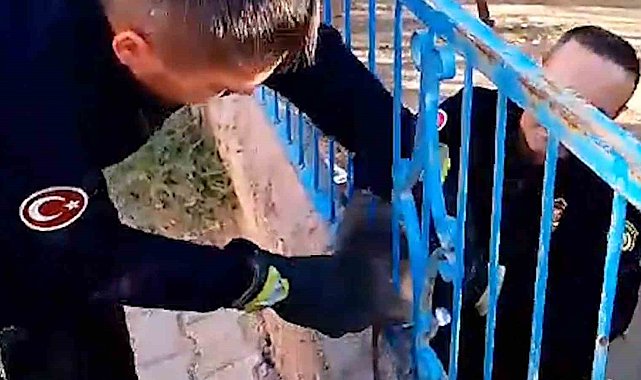 Demir korkuluğa sıkışan kedi kurtarıldı