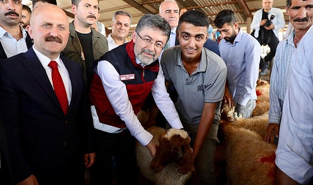 Depremden etkilenen illerde küçükbaş, kanatlı hayvan ve arılı kovan dağıtımları tamamlandı