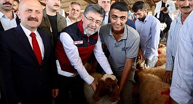 Depremden etkilenen illerde küçükbaş, kanatlı hayvan ve arılı kovan dağıtımları tamamlandı