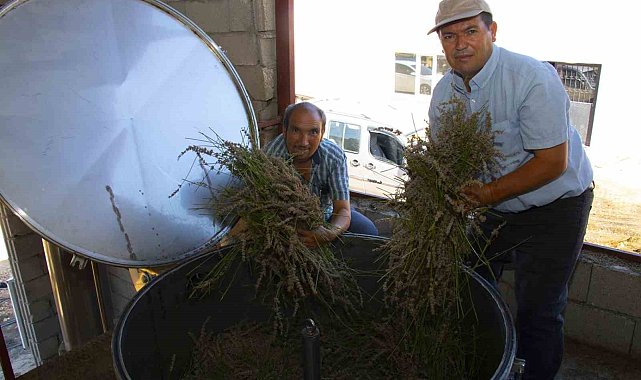Distilasyon makinesi ile lavanta üreticileri zamandan tasarruf ediyor