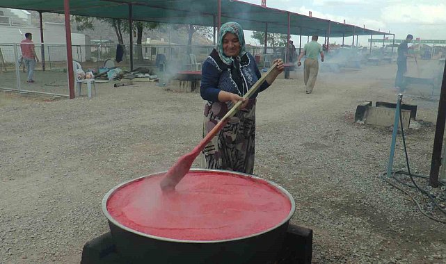 Domatesler kışlık salça için kaynadı