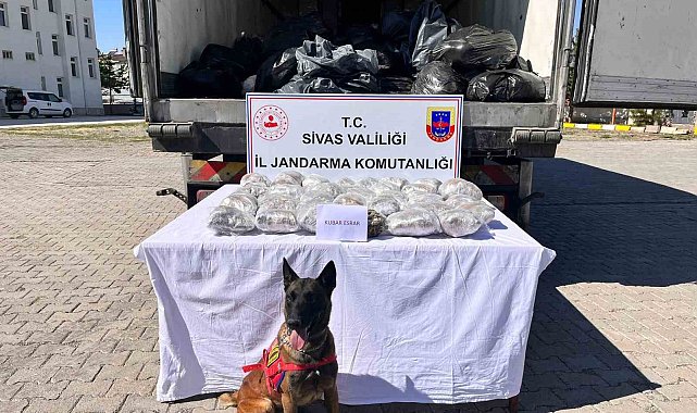 Görenleri hayrete düşürdü, kayısı kolisinden kilolarca uyuşturucu çıktı