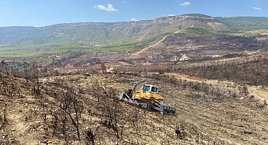 Gülnar'da yanan ormanlık alanlarda ağaçlandırma çalışmalarına başlandı