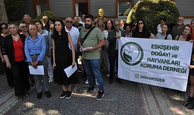 Hayvanseverler Büyükşehir'i suçladı