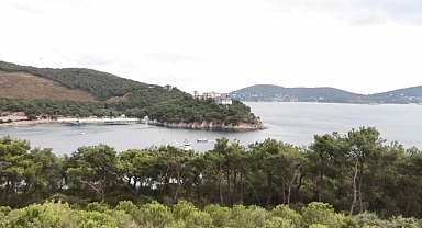 İstanbul'da orman yangınlarına 'Kozalak'lı önlem - Resim 1