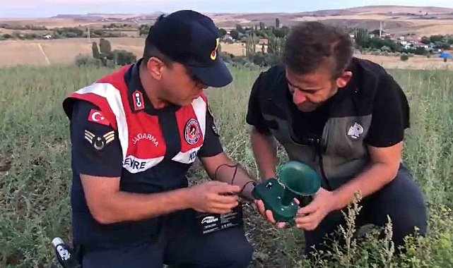 Kaçak avcıların ses oyununu jandarma bozdu