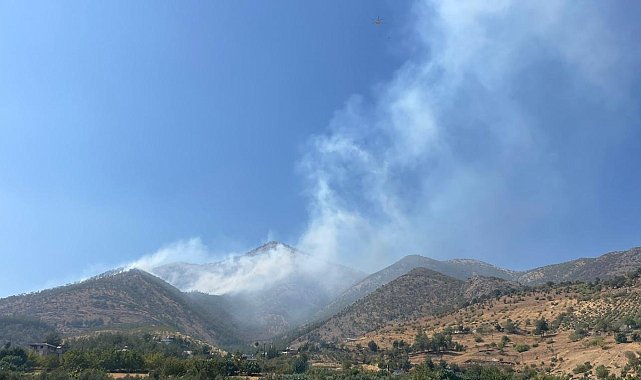 Kahramanmaraş'ta orman yangını