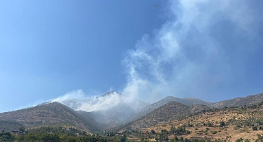 Kahramanmaraş'ta orman yangını