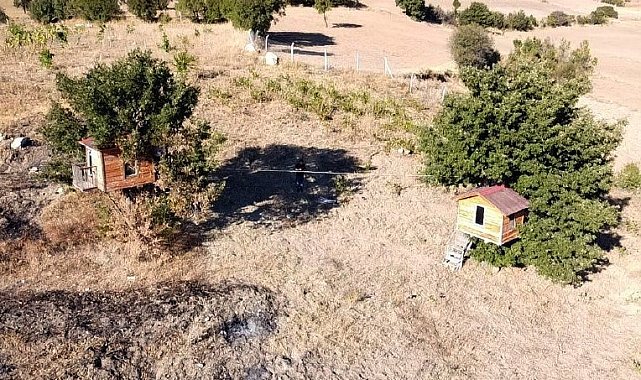 Karadeniz değil Yozgat: Meşe ağacının üzerine yaptığı evler dikkat çekiyor