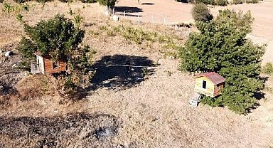Karadeniz değil Yozgat: Meşe ağacının üzerine yaptığı evler dikkat çekiyor