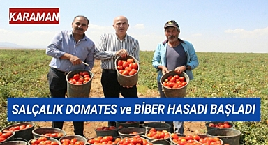 Karaman'da salçalık domates ve biber hasadı başladı