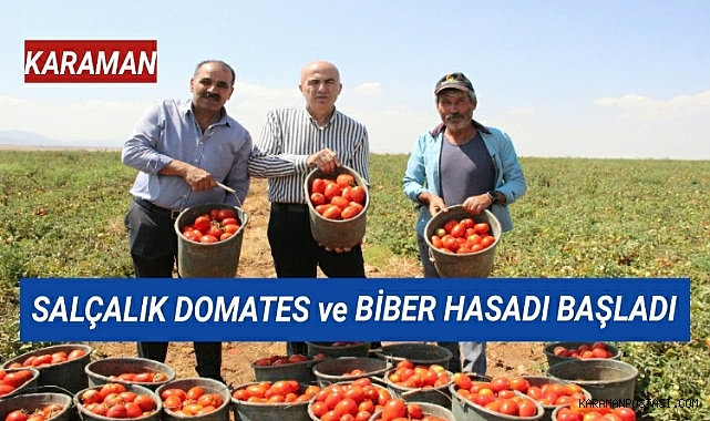 Karaman'da salçalık domates ve biber hasadı başladı