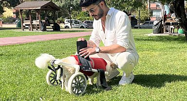 Köpeği felç kaldıktan sonra Müslüman oldu