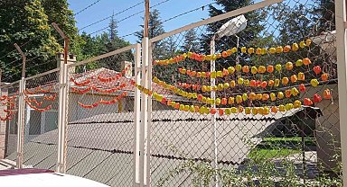 Kurutulmak için asılan biberlerin renkli görüntüsü