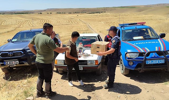 Kuş sevdasına otomobillerinden oldular