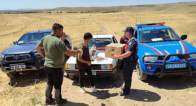 Kuş sevdasına otomobillerinden oldular