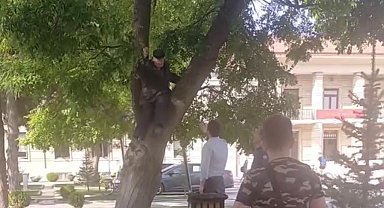 Maaşını alamayan vatandaş valilik önünde ağaca çıktı