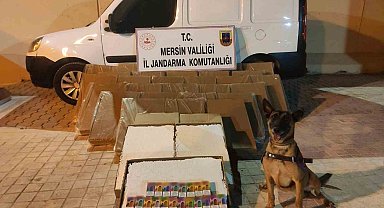 Mersin'de 161 bin 200 kaçak makaron ele geçirildi