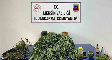 Mersin'de 5 kilo 620 gram esrar ile 578 kök Hint keneviri ele geçirildi