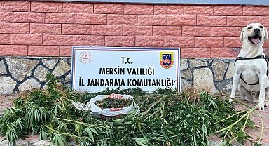 Mersin'de uyuşturucu operasyonu: 2 gözaltı