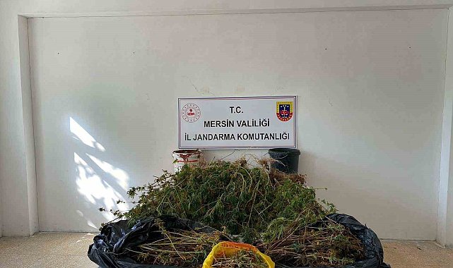 Mersin'de uyuşturucu operasyonu: 2 gözaltı