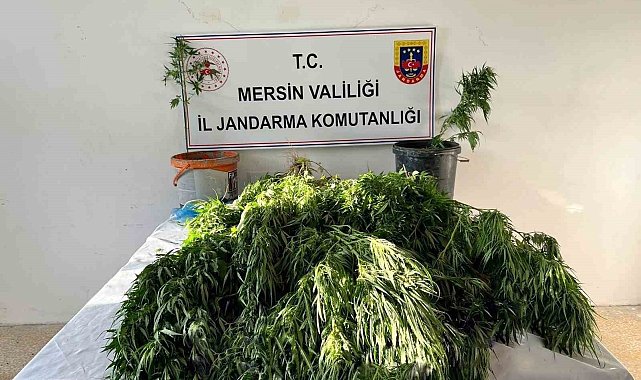 Mersin'de uyuşturucu satıcılarına operasyon: 3 gözaltı