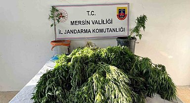 Mersin'de uyuşturucu satıcılarına operasyon: 3 gözaltı