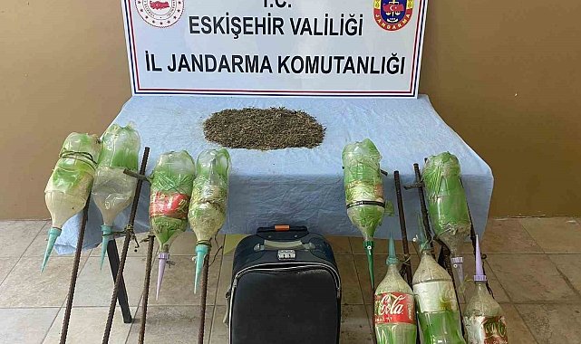 Ormana ekilen uyuşturucu jandarma tarafından bulundu