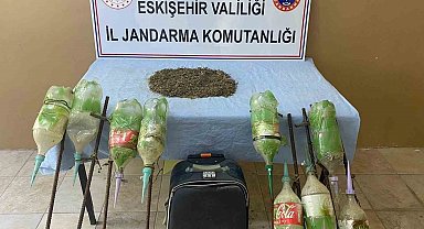 Ormana ekilen uyuşturucu jandarma tarafından bulundu