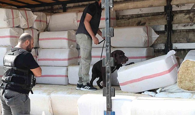Saman balyalarının arasından 279 kilo uyuşturucu çıktı