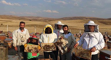 Sivas çiçek balı üretiminde ilk sırada