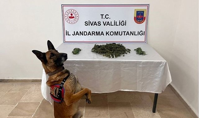 Sivas'ta 3 kilo esrar ele geçirildi