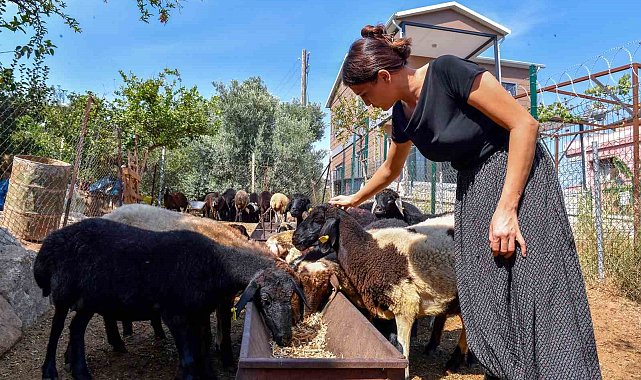 'Hadi gel köyümüze destek verelim' projesi büyümeye devam ediyor
