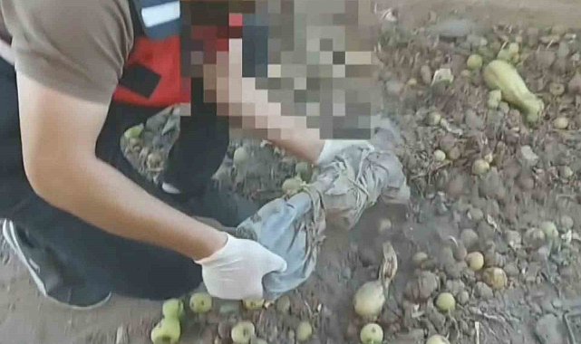 Ağaç altından gömülü tüfekler, baza altından tabanca ve uyuşturucular çıktı