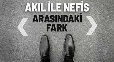 Akıl ile Nefis Arasındaki Fark Nedir?