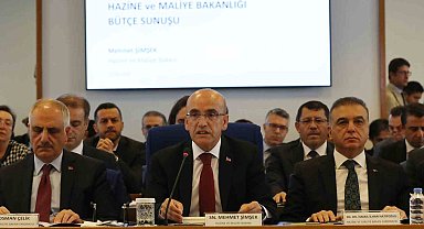 Bakan Şimşek: "Ülkemizi gri listeden çıkarmak için çaba gösteriyoruz"