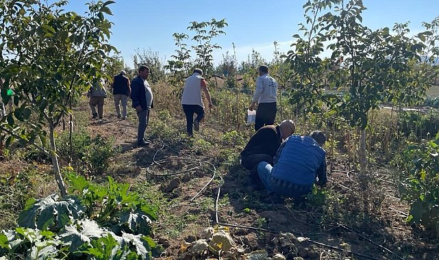 Beyşehir'de çiftçilere tarla faresiyle mücadele eğitimi