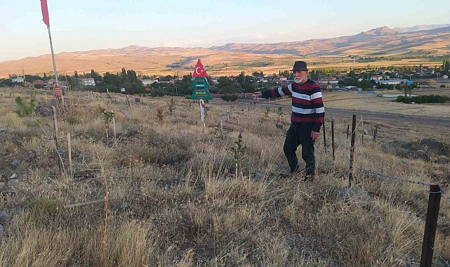 Bozkırı yeşertmek için ter döküyor