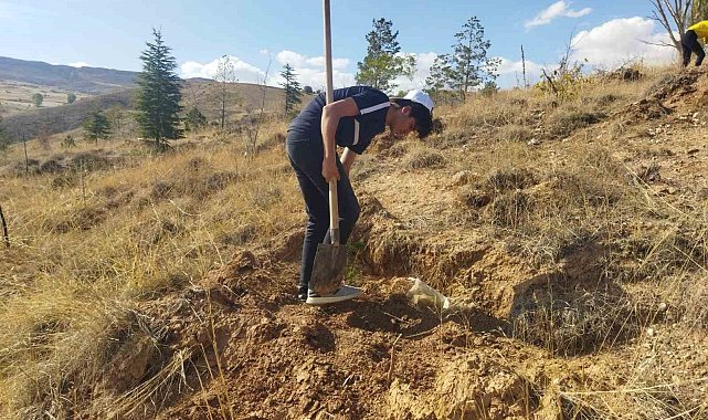 Büyükşehir Belediyesi İlçeleri 22 bin Fidan İle Buluşturacak