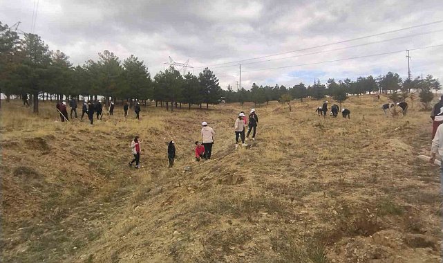 Büyükşehir, Bünyan'da öğrencilerle bin adet ağaç dikti