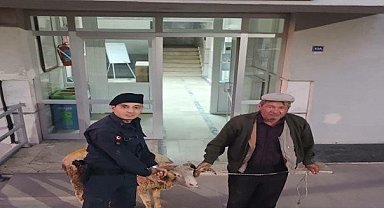 Çalıntı küçükbaş hayvanı sosyal medya üzerinden satmaya çalışan şahıs yakalandı