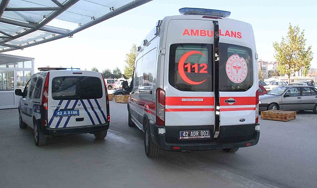 Çıktığı ceviz ağacı hayatına mal oldu