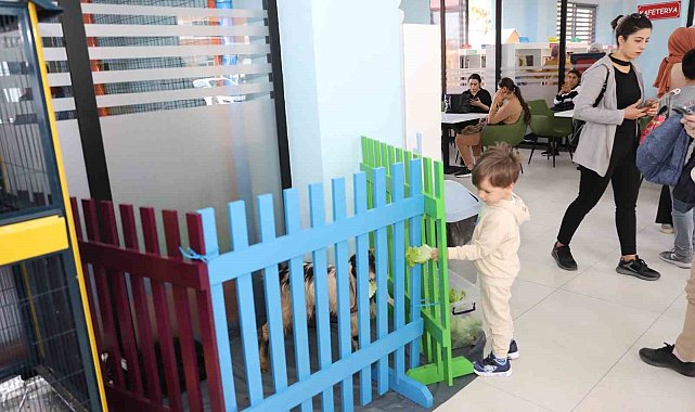 Çocuk Kütüphanesinde Hayvanları Koruma Farkındalığı Etkinliği