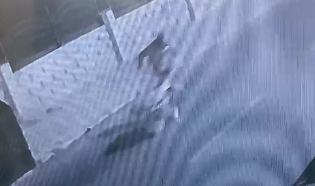 Güvenlik kamerasına yakalanan hırsız tutuklandı