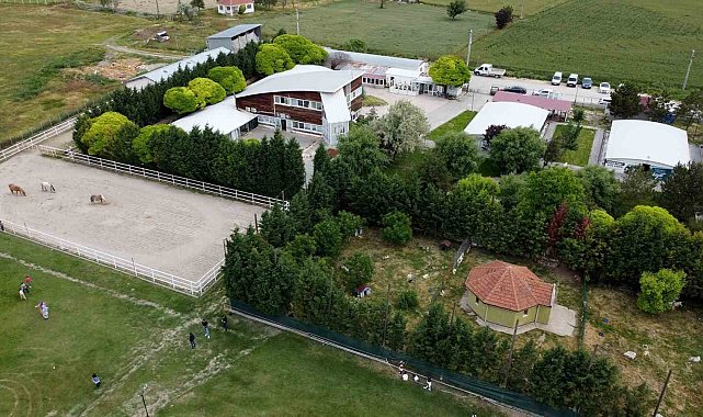 Hayvanları Koruma Günü'ne özel etkinlikler