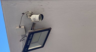 Kazada ölen kedi için eczacılara taşla bıçakla saldırdılar